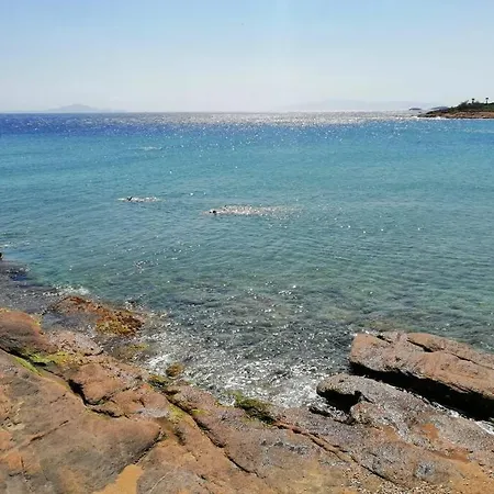 Hh Bluewater * Логарас